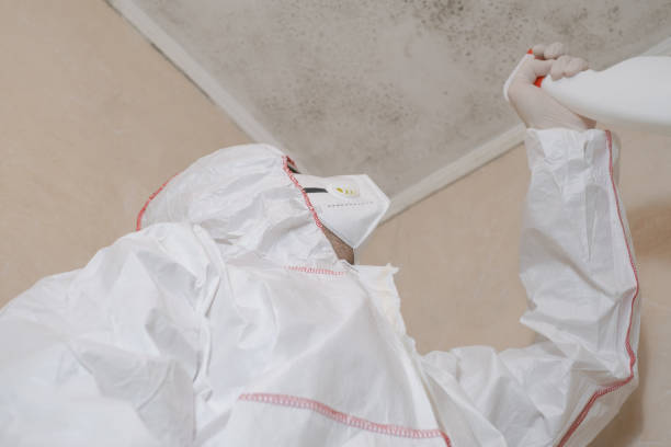 Best Mold Testing  in Rock Falls, IL